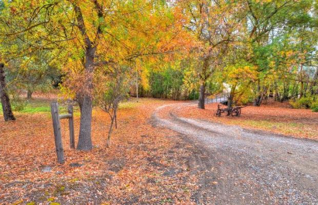 Autumn in Wtarevale